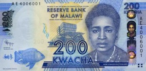 Малавийская квача 200а