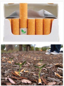 Сигареты с семенами цветов в фильтре