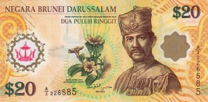 Брунейский доллар 20а
