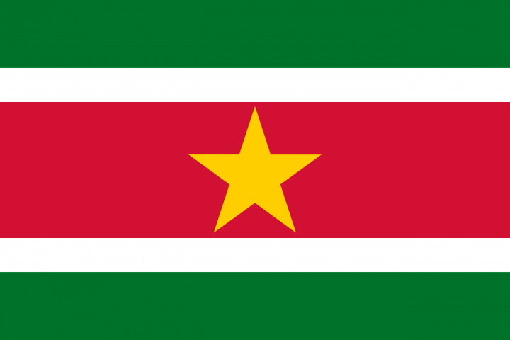 Посольство Суринама