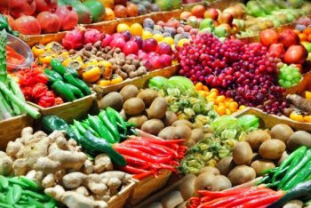 Оптовые поставки овощей: бизнес с нуля в своем регионе, поиск поставщиков