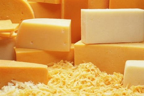 Как открыть производство сыра? Готовый бизнес-план производства сыра