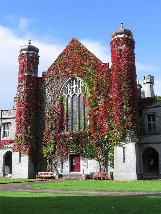 Ирландский национальный университет