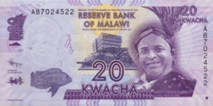 Малавийская квача 20а