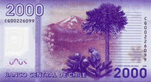 Чилийское песо2000р