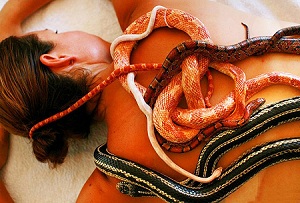 Необычный спа салон с змеями