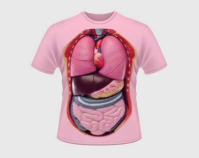 футболка с изображением анатомии тела