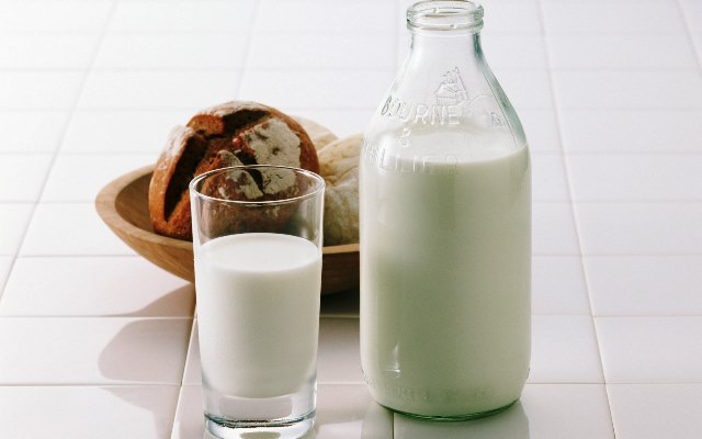 Бизнес план оптовая торговля молочными продуктами