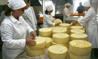 Штат сотрудников мини-завода по производству сыра включает 7 человек
