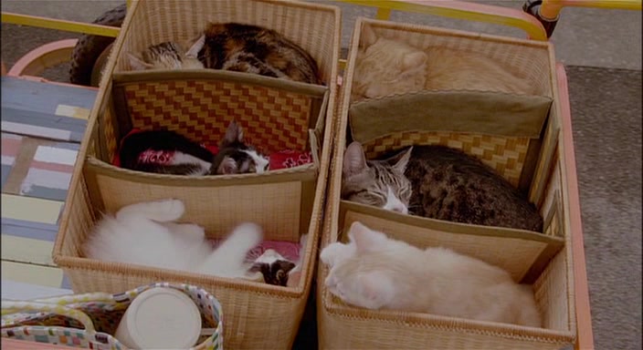 Домашнее животное напрокат - идея бизнеса