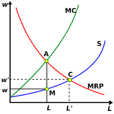 Монопсония 2