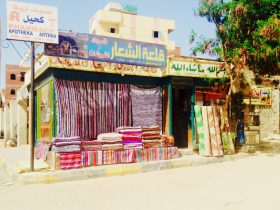 Заработок в Египте
