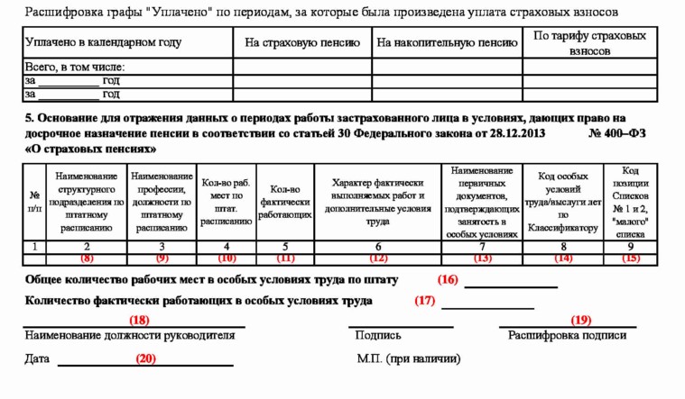 Сзв корр образец