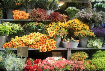 Цветочный магазин розничный: как создать свой бизнес?