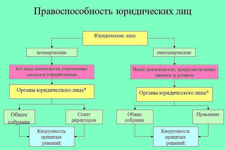 Юридические лица схема