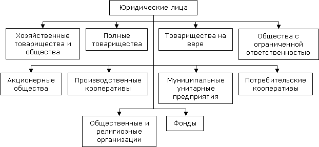 Виды предприятий