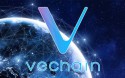 Какие криптовалюты действуют в системе VeChain