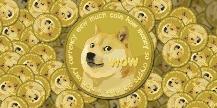 Цифровые монеты dogecoin
