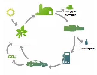 Бизнес планы для производства биотоплива thumbnail