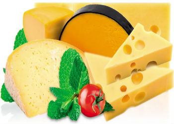 Бизнес-план производства сыра