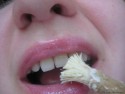 Зубная щетка с приставкой “эко” – сивак и мисвак