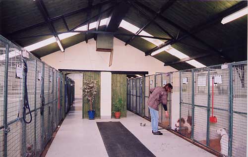 kennels int1