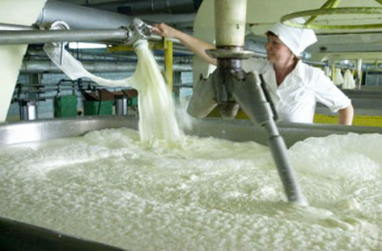 Качество молочного сырья влияет на вкусовые характеристики сыра