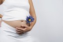 В какой срок беременная сотрудница может уйти в декрет