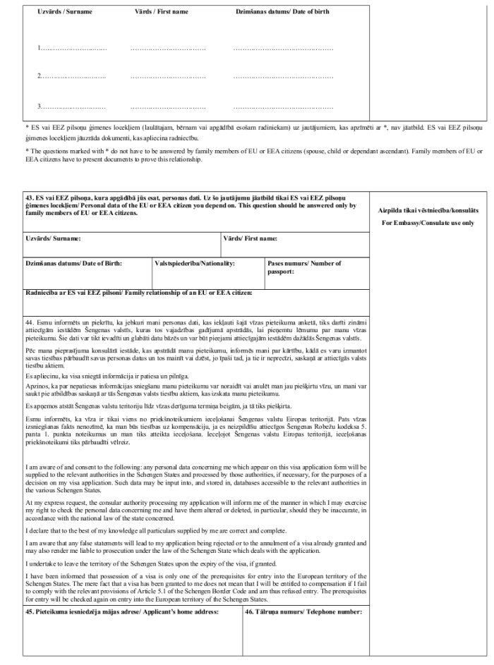 Заявление на шенгенскую визу - скачать образец, бланк. Пример формы шаблона