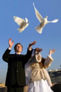 Белоснежные голуби на свадьбу